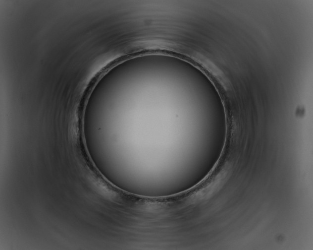 X0000102000782200807181204