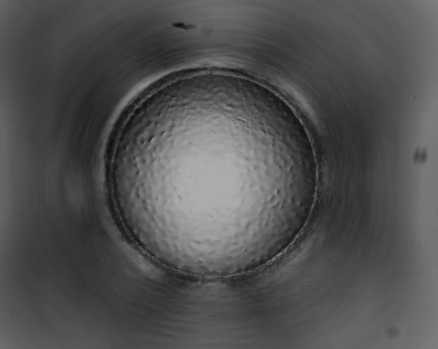 X0000102000784200807181204