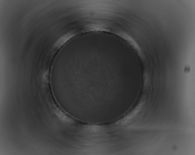 X0000102000785200807181204