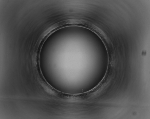 X0000102000786200807181204