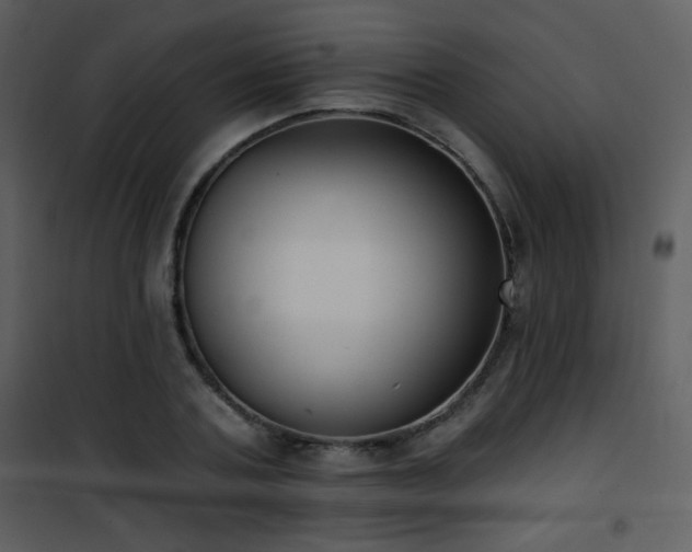 X0000102000787200807181204