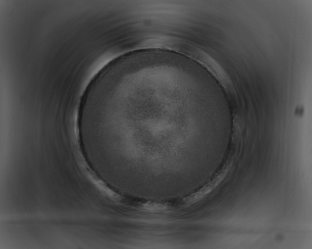 X0000102000788200807181204