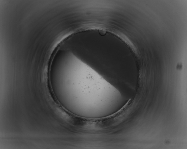 X0000102000790200807181204