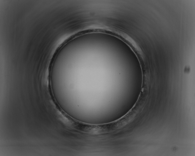 X0000102000791200807181204