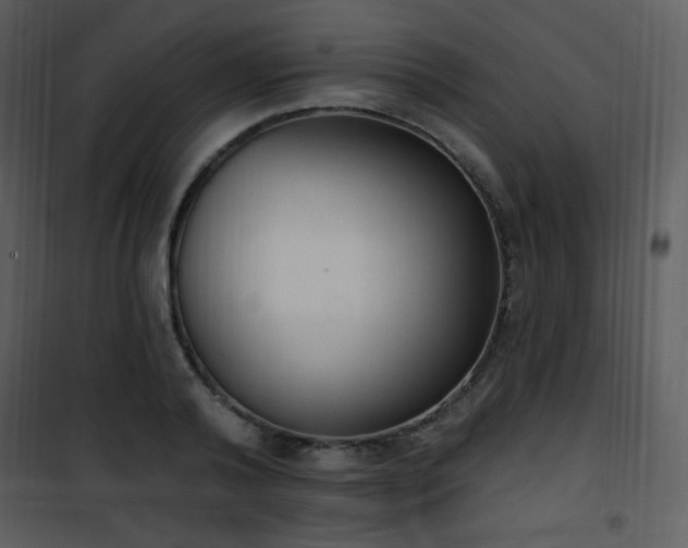 X0000102000792200807181204