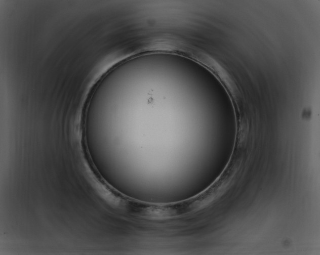 X0000102000795200807181204