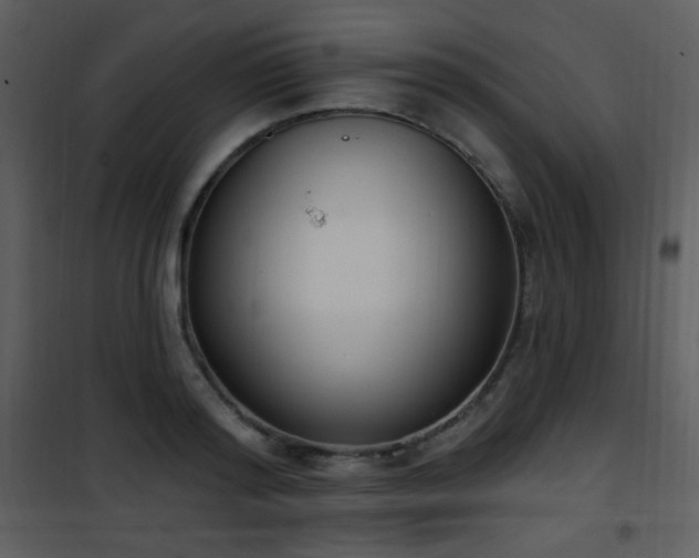 X0000102000796200807181204