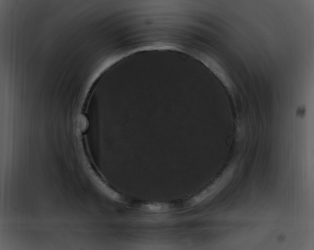 X0000102000797200807181204