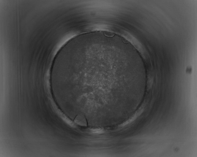 X0000102000798200807181204