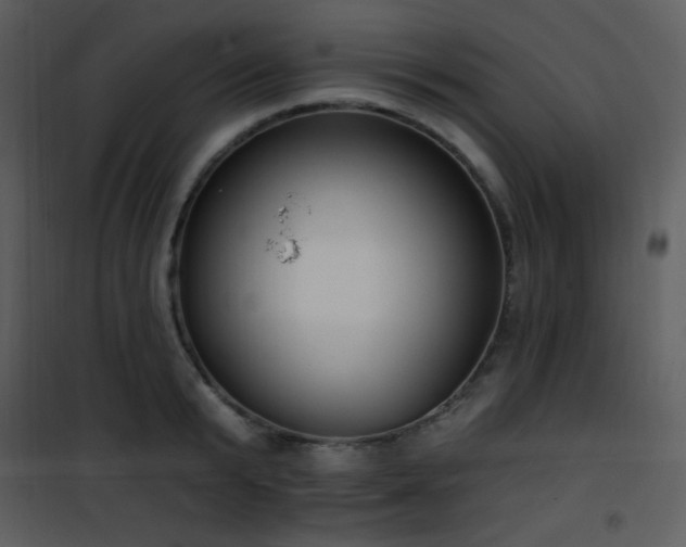 X0000102000799200807181204