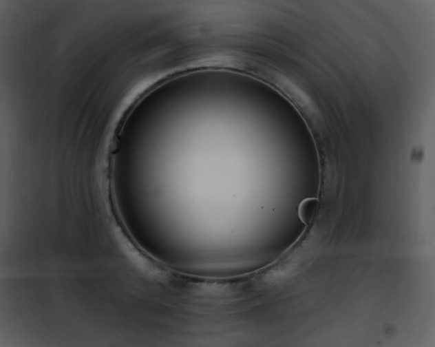 X0000102000800200807181204