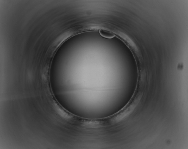 X0000102000801200807181204