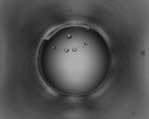 X0000102000803200807181204