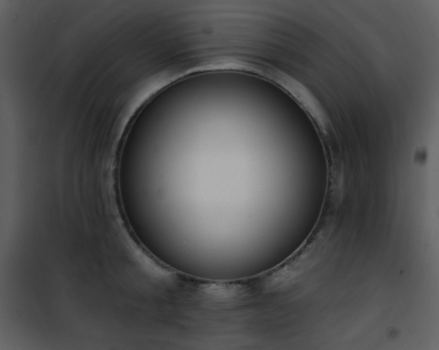 X0000102000805200807181203