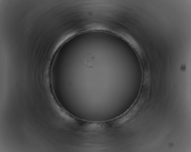 X0000102000806200807181203