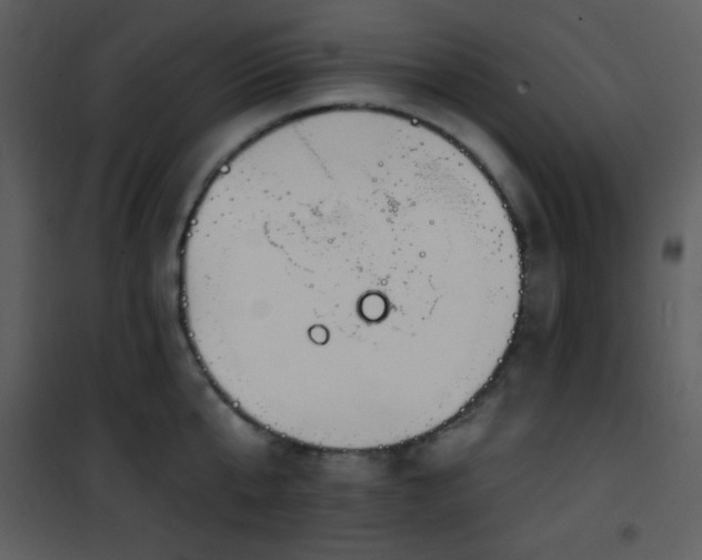 X0000102000807200807181203