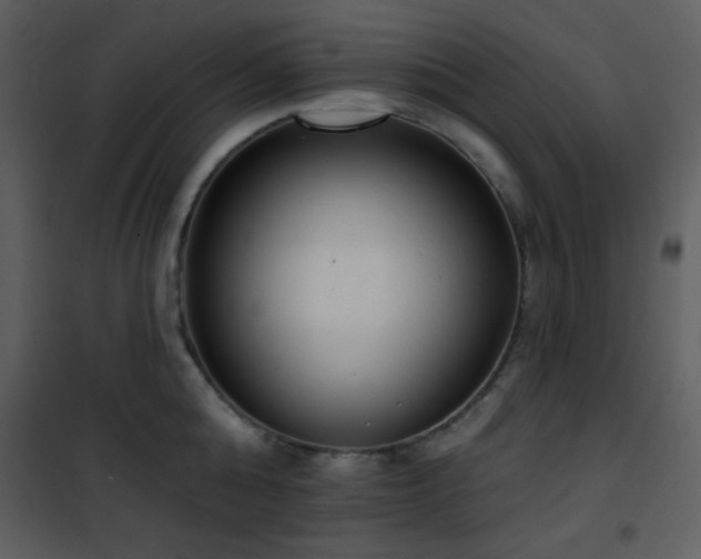 X0000102000808200807181203