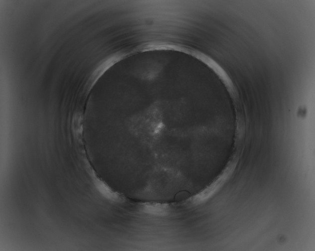 X0000102000809200807181203