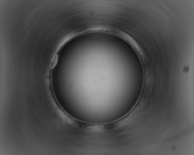 X0000102000810200807181203