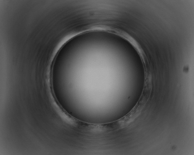 X0000102000811200807181203