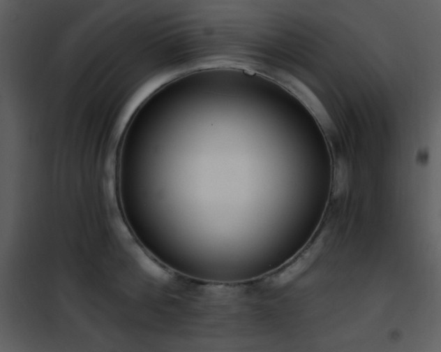 X0000102000812200807181203