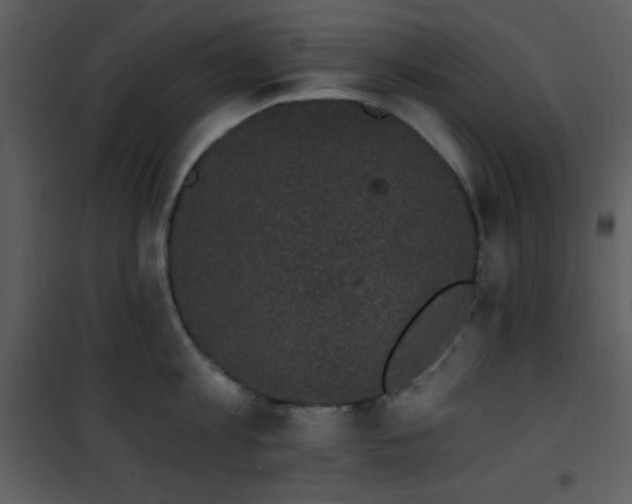 X0000102000813200807181203