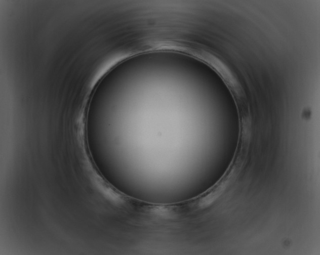 X0000102000814200807181203