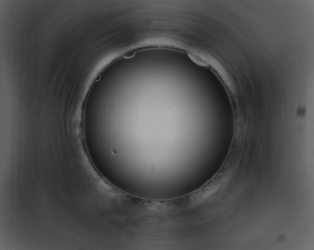 X0000102000815200807181203