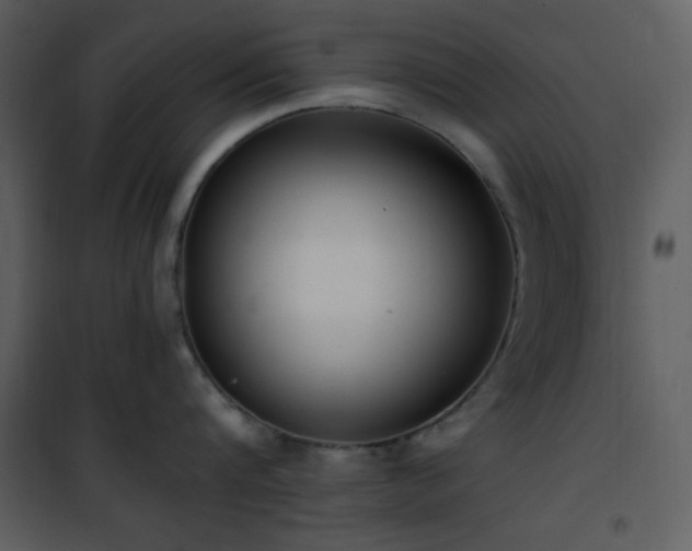 X0000102000816200807181203