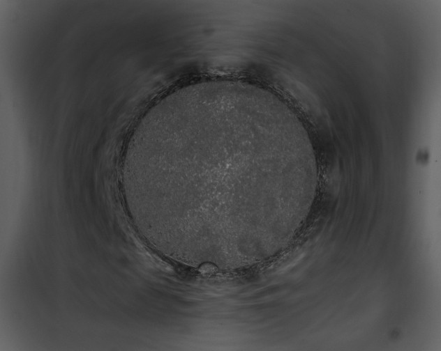 X0000102000817200807181203