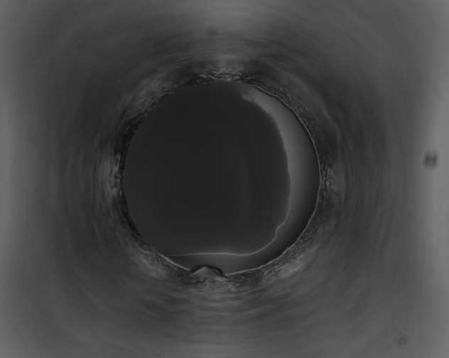 X0000102000818200807181203