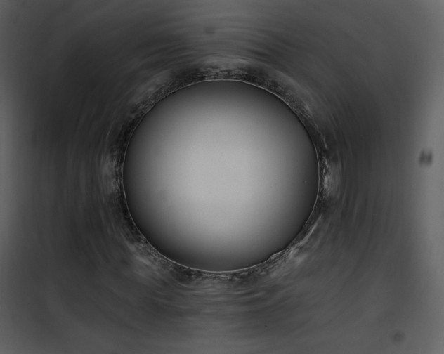 X0000102000819200807181203