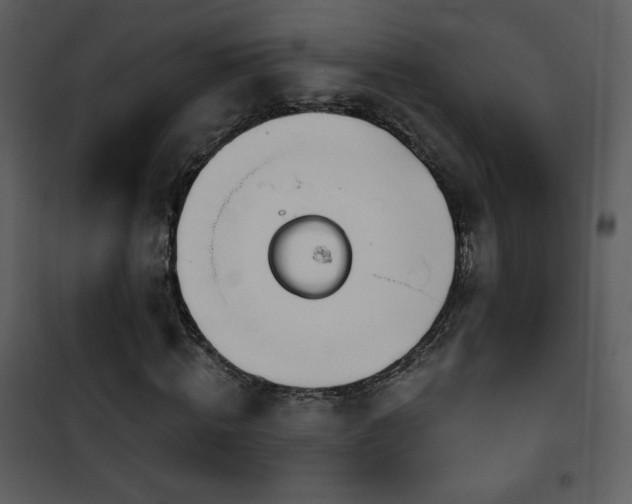 X0000102000820200807181203