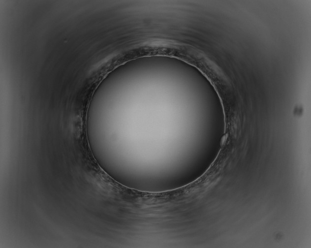 X0000102000821200807181203