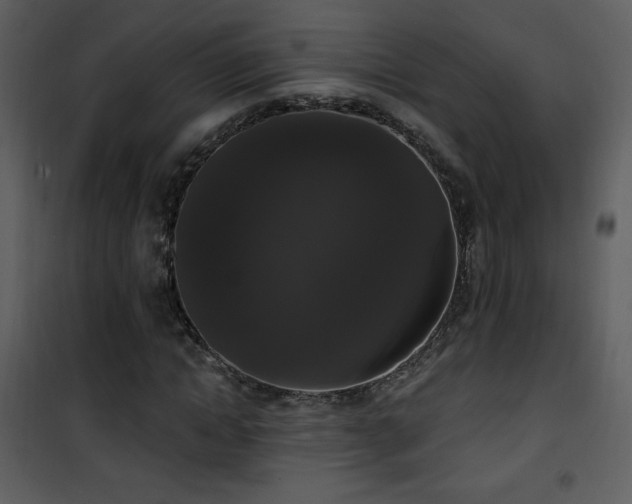 X0000102000822200807181203