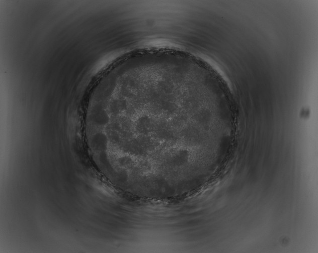 X0000102000823200807181203