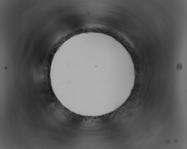 X0000102000824200807181203