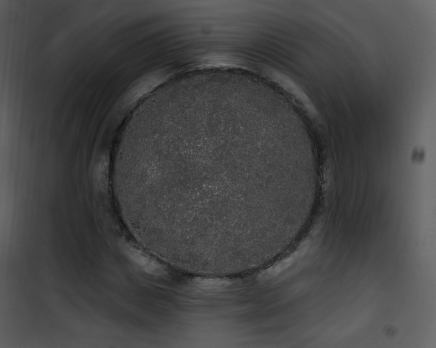 X0000102000825200807181203