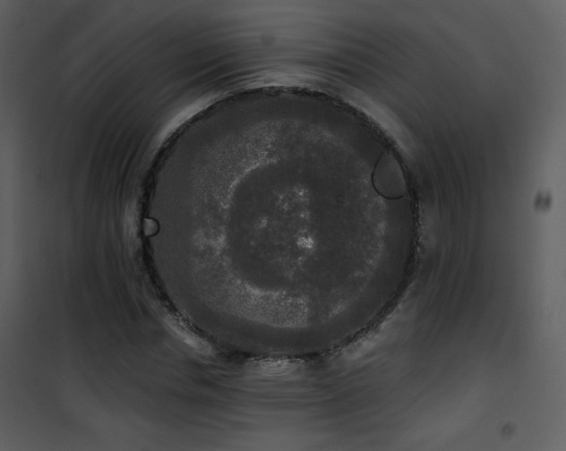 X0000102000826200807181203