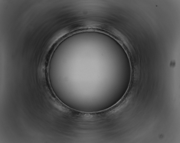 X0000102000827200807181203