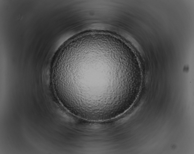 X0000102000829200807181203