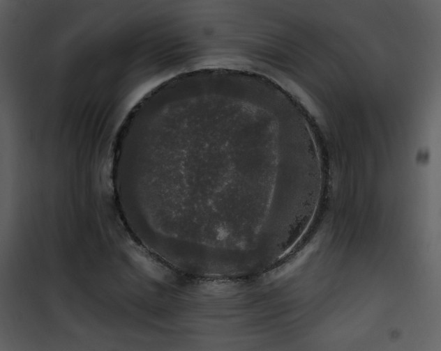 X0000102000830200807181203