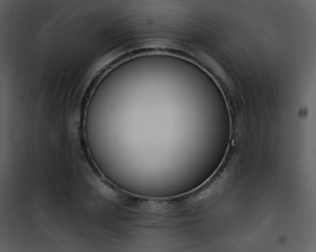 X0000102000831200807181203