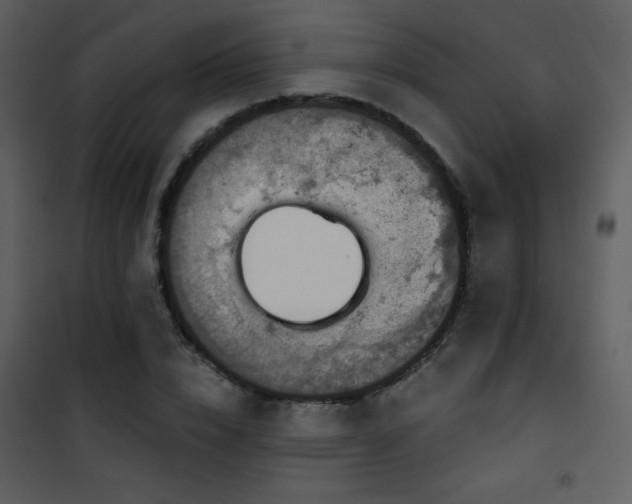 X0000102000832200807181203