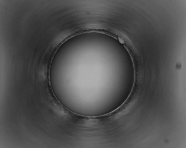 X0000102000833200807181203