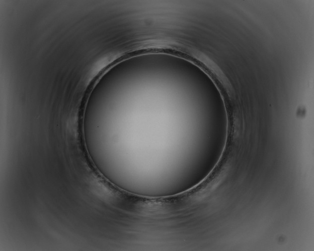 X0000102000834200807181203