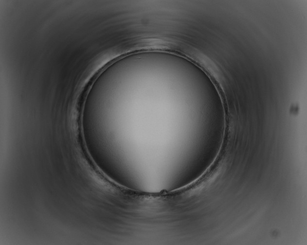 X0000102000835200807181203