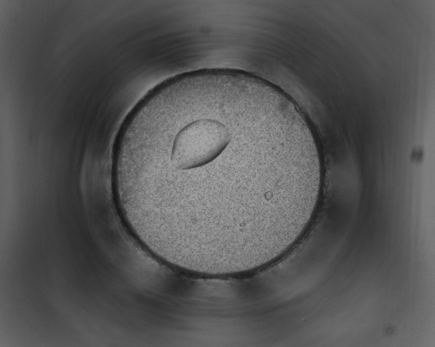 X0000102000836200807181203