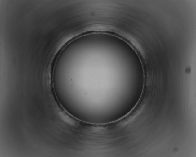 X0000102000837200807181203