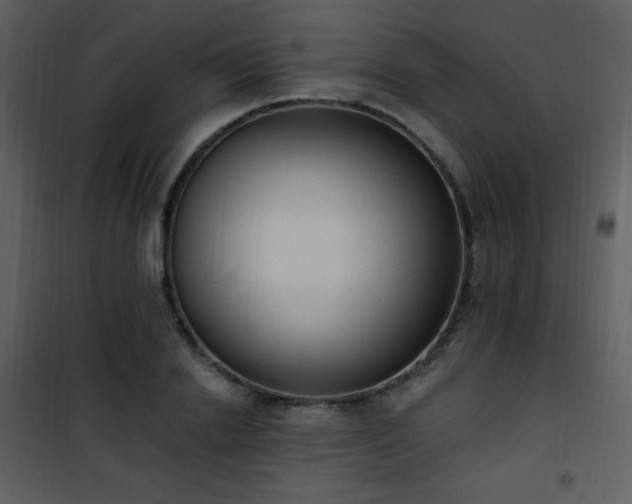 X0000102000838200807181203